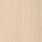 Urban Maple