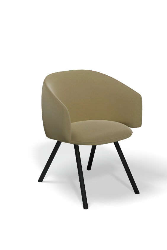 BST01 / Dining Chair