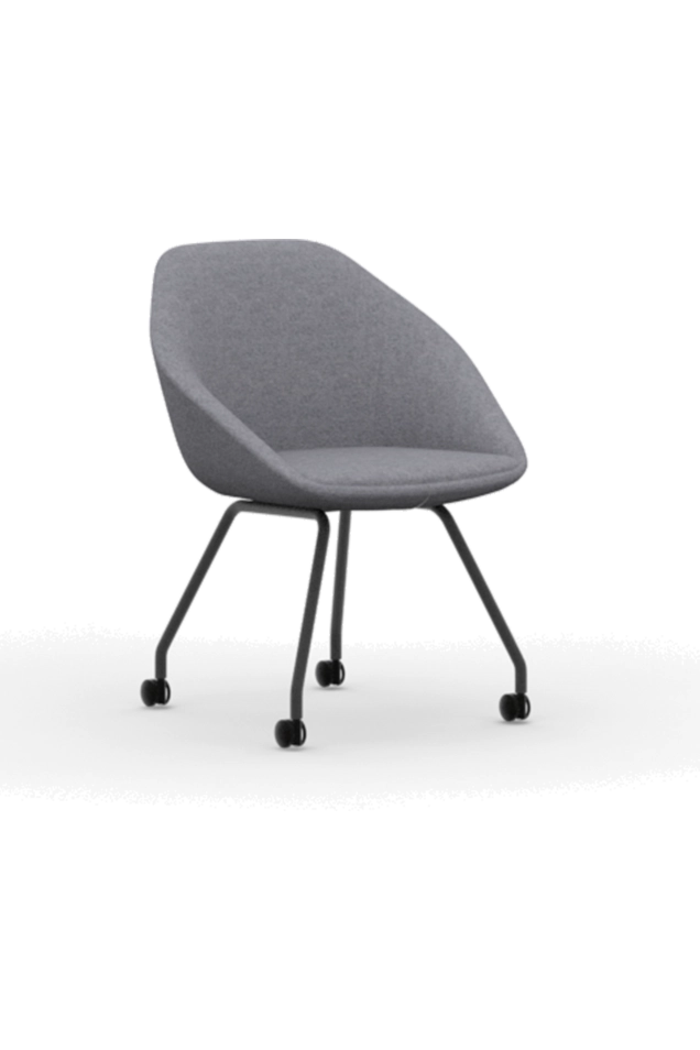FMG1101 / Low Back