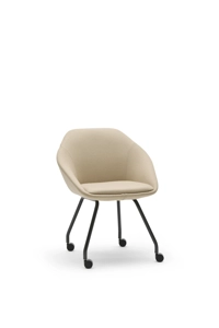 Low Back / FMG1101