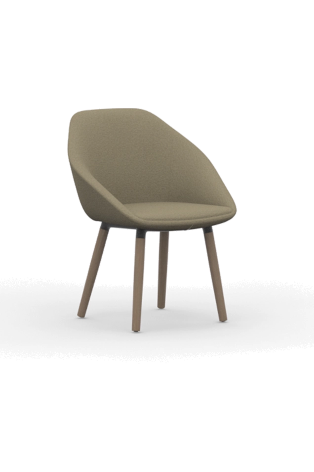 FMG1103 / Low Back