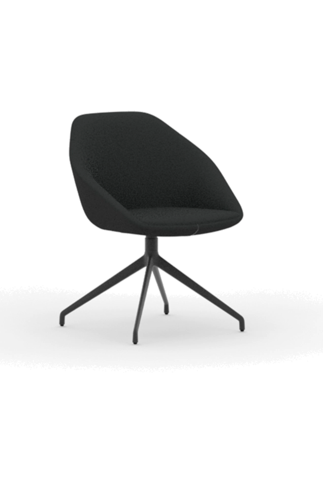 FMG1105 / Low Back