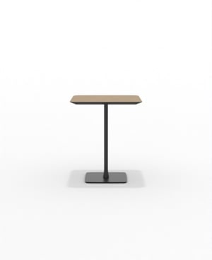 FRSCH30SQ_03.JPG