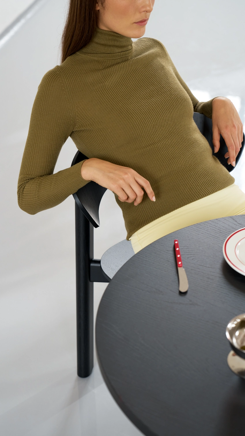 Sula_Tables_family_02