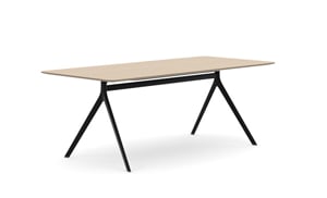 AXLIR2009_AxylTables_BlackFrame_AshLaminate_R2.jpg