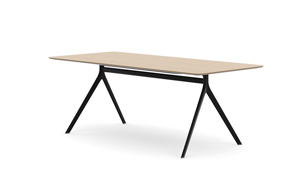 AXLIR2009_AxylTables_BlackFrame_AshLaminate_R4.jpg