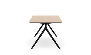 AXLR2009_AxylTables_BlackFrame_AshLaminate_R3.jpg