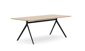 AXLIR2009_AxylTables_BlackFrame_AshLaminate_R6.jpg