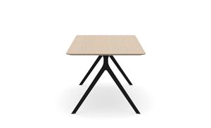 AXLIR2409_AxylTables_BlackFrame_AshLaminate_R3.jpg