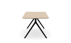 AXLIR2409_AxylTables_BlackFrame_AshLaminate_R7.jpg