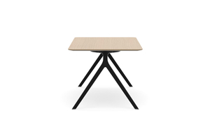 AXLR1609_AxylTables_BlackFrame_AshLaminate_R3.jpg