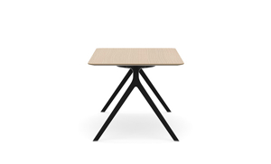 AXLR1609_AxylTables_BlackFrame_AshLaminate_R7.jpg