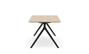 AXLR2009_AxylTables_BlackFrame_AshLaminate_R3.jpg