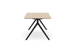 AXLR2009_AxylTables_BlackFrame_AshLaminate_R7.jpg